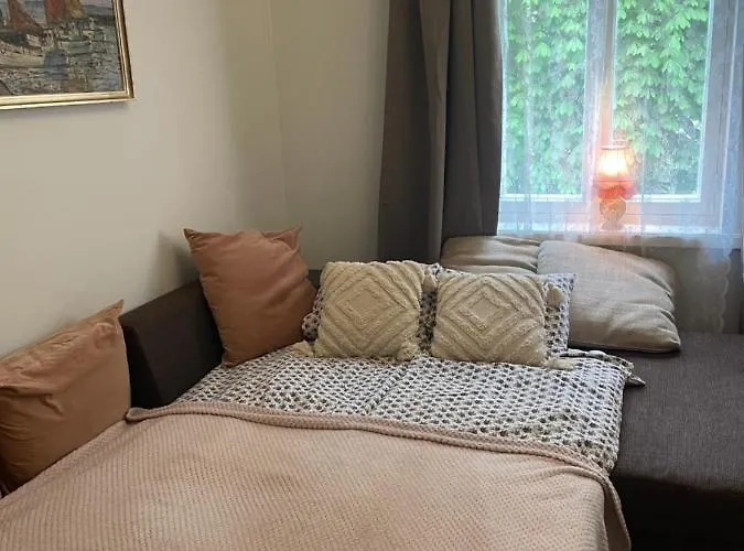 Spacious Supeluse Parnawa